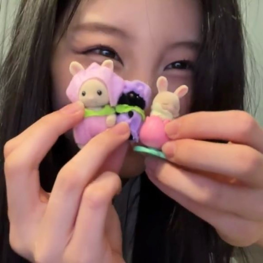 sylvanian families baby & sylvanian pouch