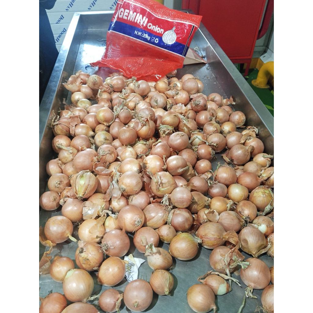 bawang bombay 1kg