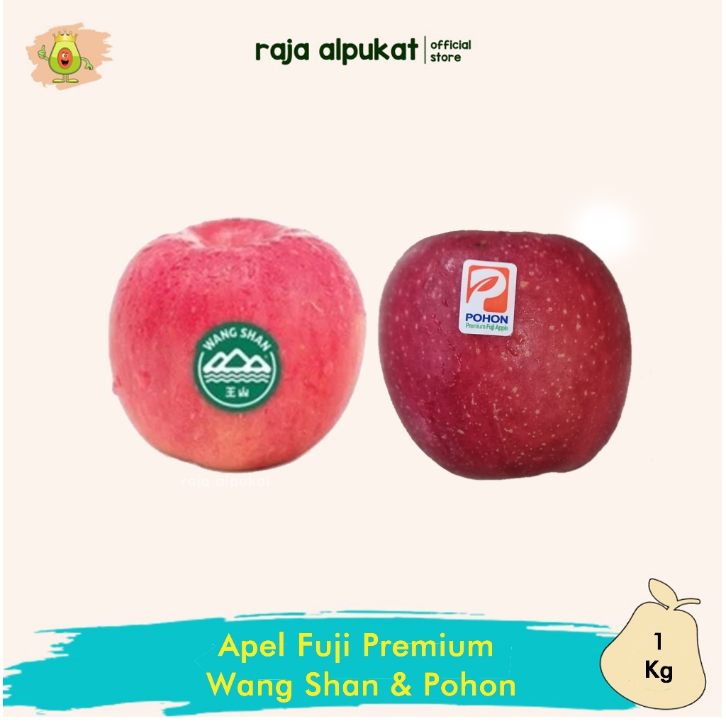 Apel Fuji Premium Wang Shan I POHON - Raja Alpukat
