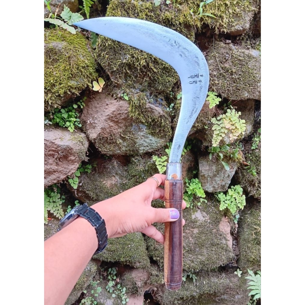 arit potong rumput dewi bintang jawaan baja karbon alat tani