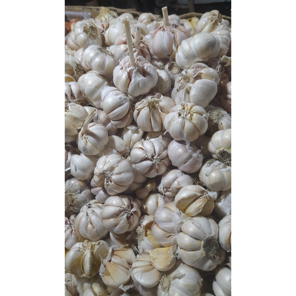 Bawang Putih 1Kg