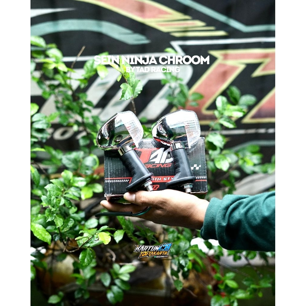 Sein ninja R riting ninja R import TAD