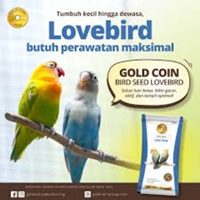 Grosir 1 dus isi 40 GOLD COIN LOVEBIRD pakan burung lovebird kenari finch falk