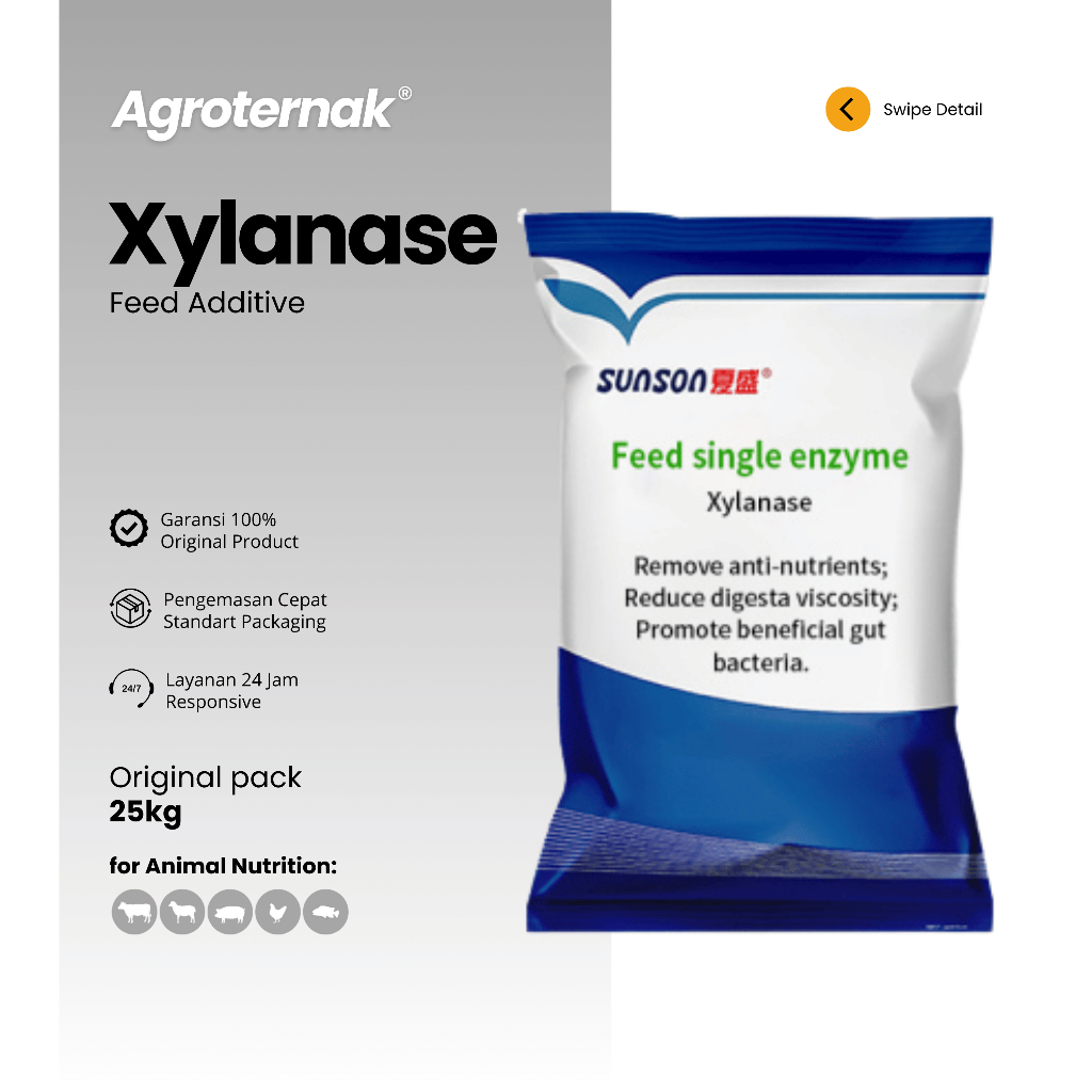 XYLANASE Silanase Enzyme Enzim Peningkat Nutrisi & Efisiensi Pakan Hewan Ternak