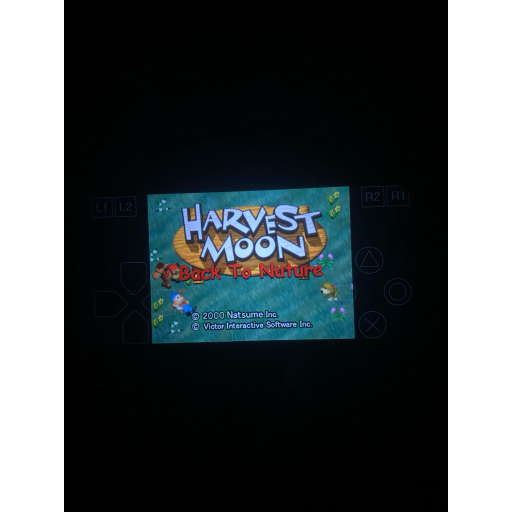 game ps 2 harvest moon ori