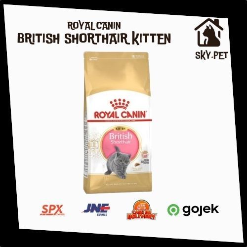 ROYAL CANIN KITTEN BRITISH SHORTHAIR 2KG / Royal Canin British Shorthair Kitten