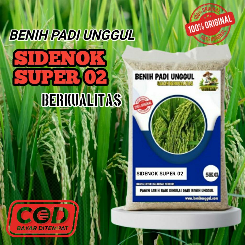 Benih Padi DENOK SUPER 02 Unggul Tahan Hama,Hasil Panen Tinggi, Nasi Pulen
