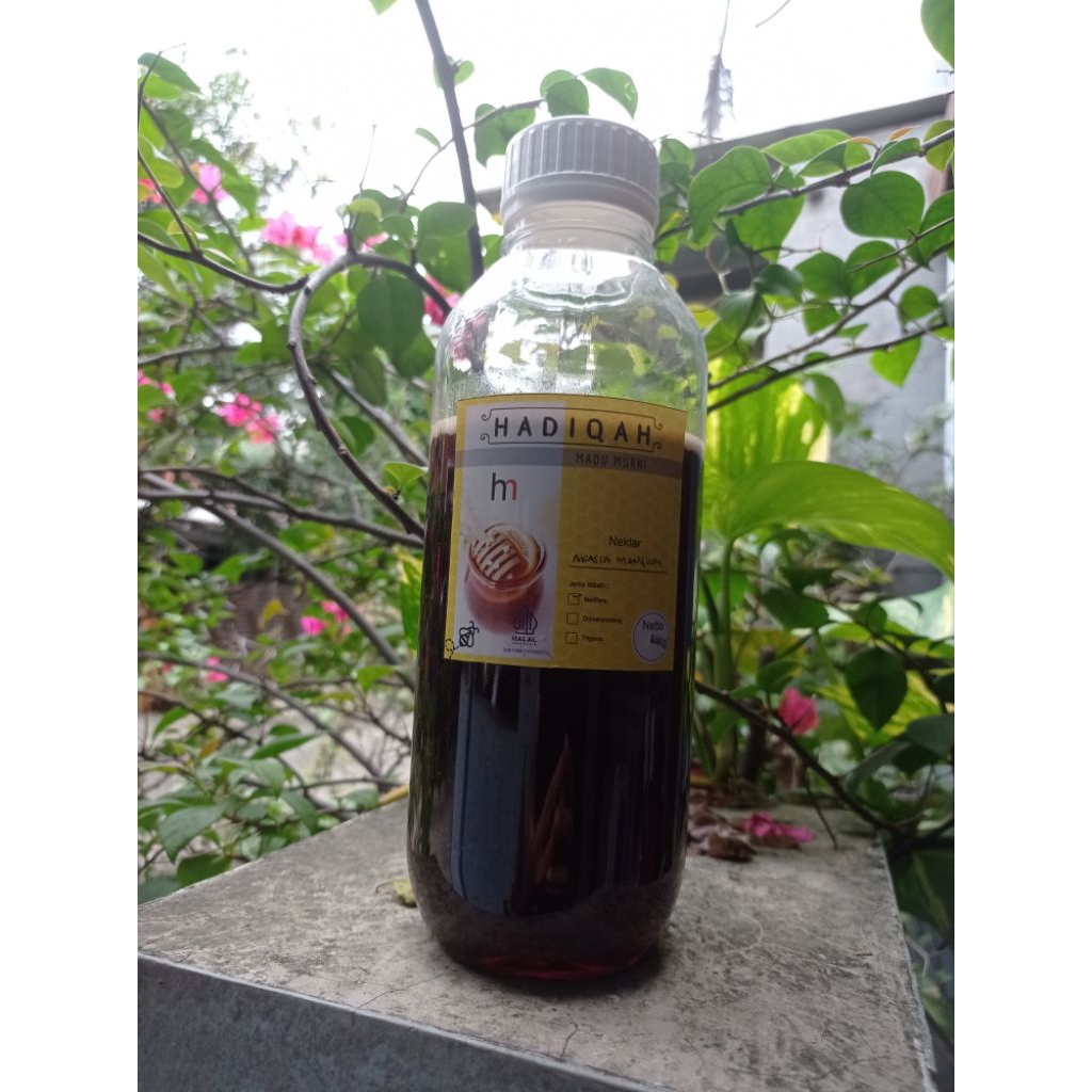 Madu nektar akasia mangium