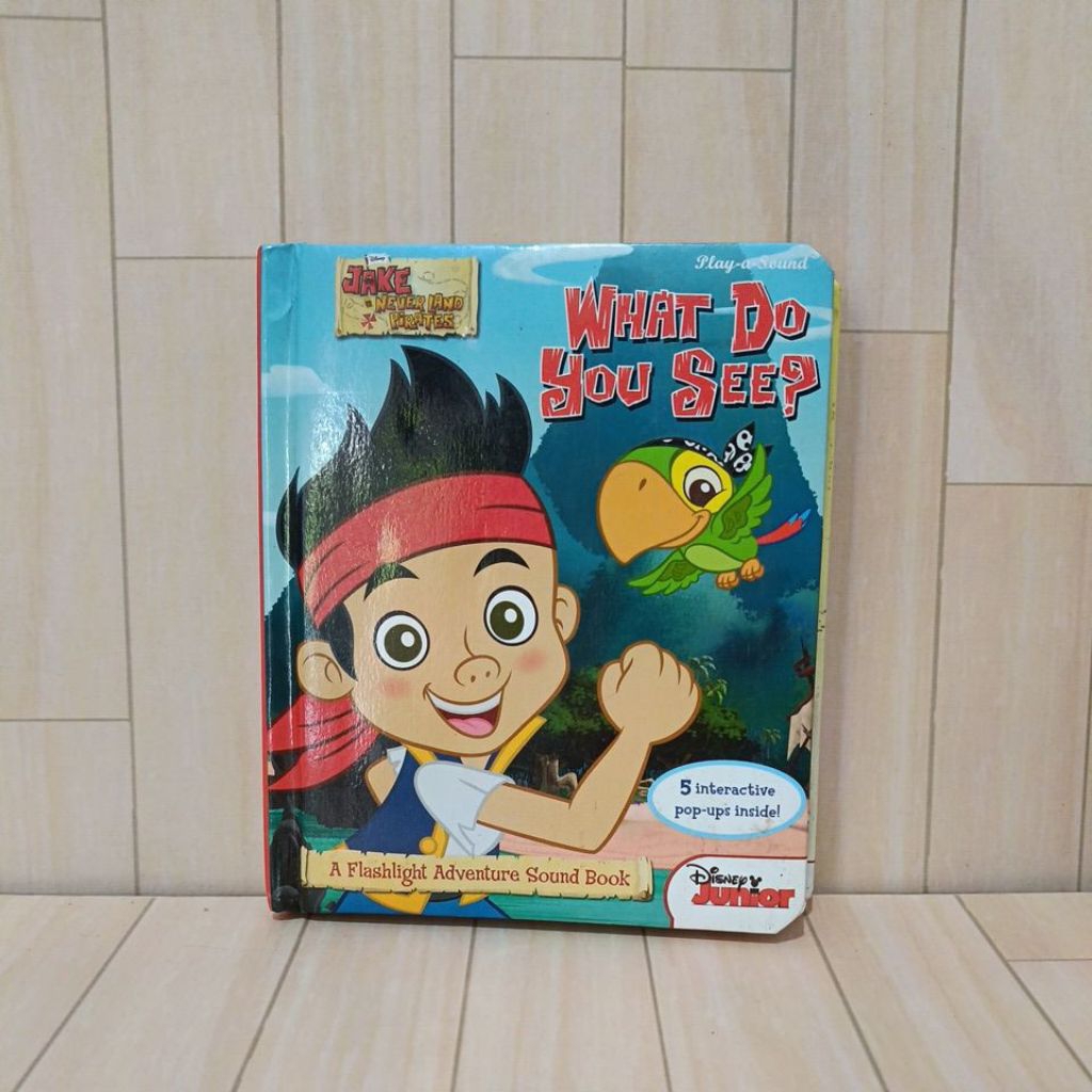 Buku Bacaan Anak Disney Junior What Do You See? BoardBook