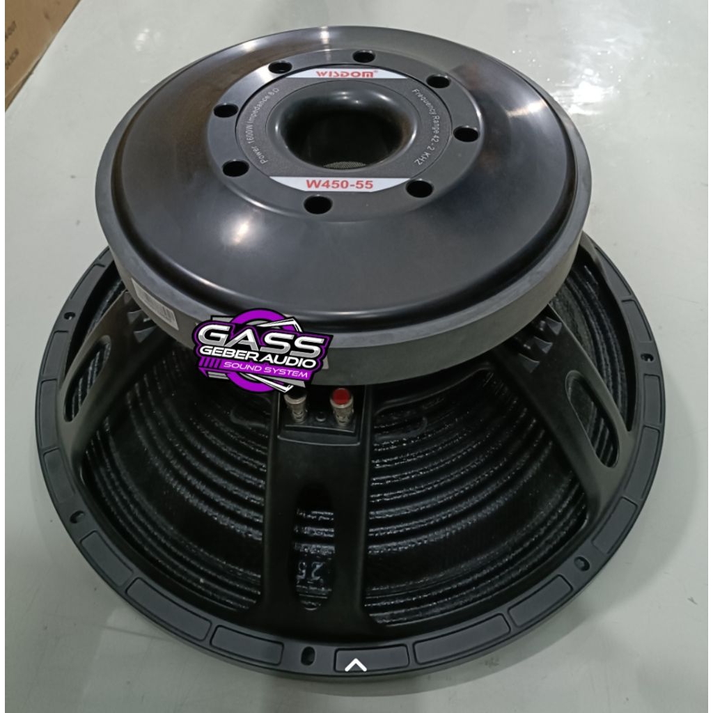speaker 18 inch wisdom w450-55 carbon speaker Wisdom w45055