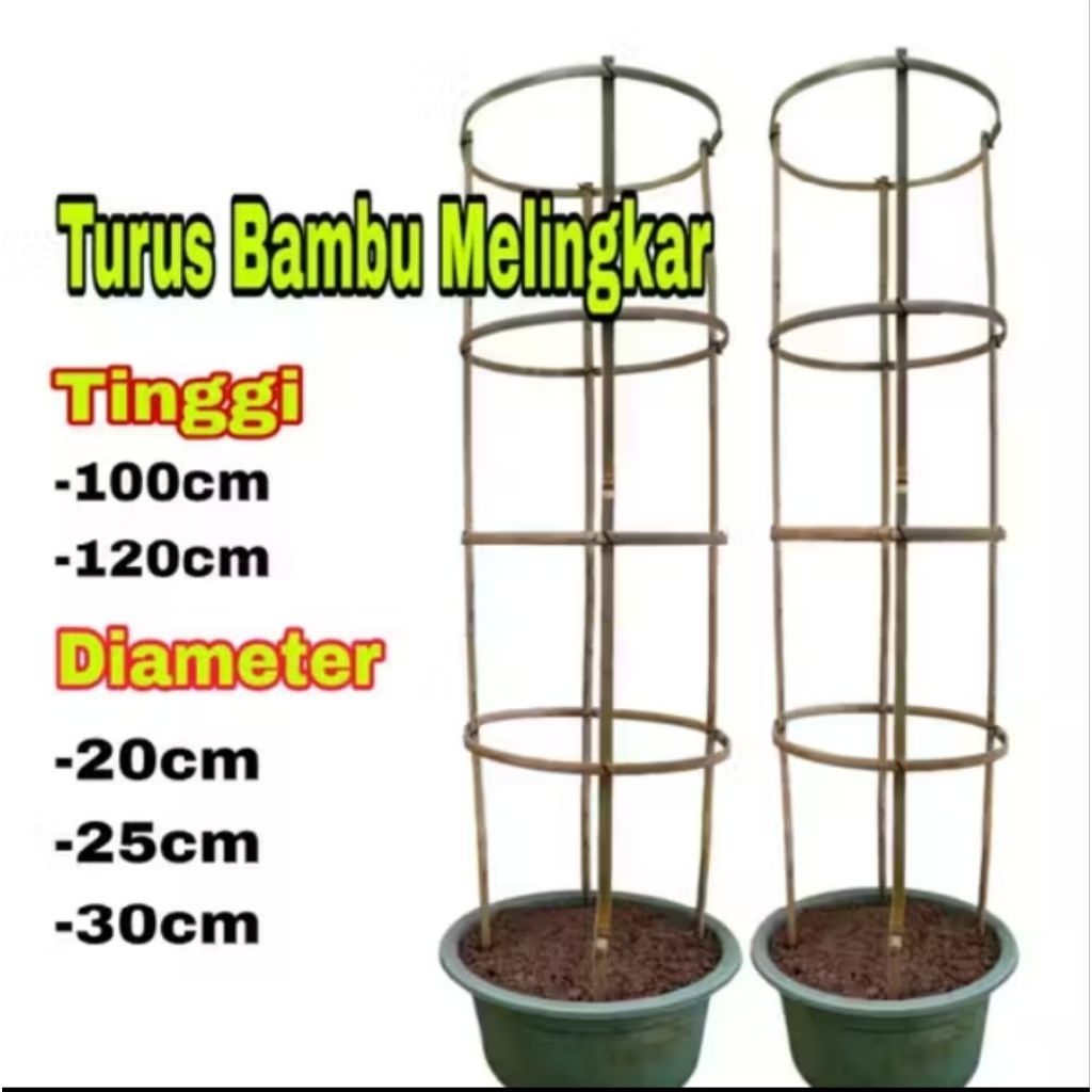 Ajir tanaman hias melingkar (Tanaman Rambat)