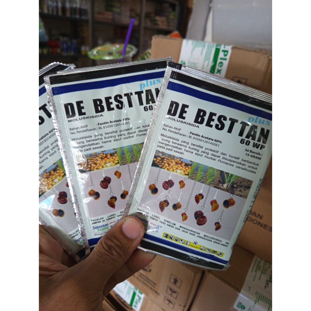 OBAT KEONG SAWAH DEBESTAN EFEKTIF MEMBASMI KEONG