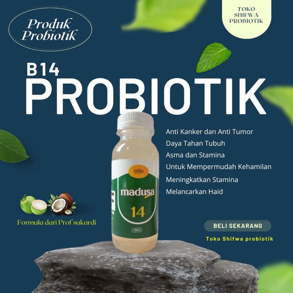 Probiotik Madusa B14 minuman herbal untuk Meningkatkan daya tahan tubuh serta mempermudah kehamilan