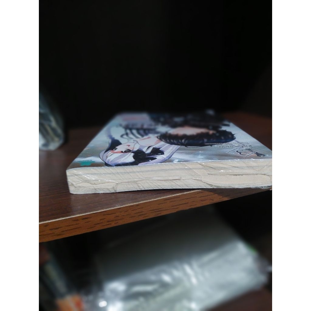 Light Novel Segel "Fate strange fake" Vol. 3