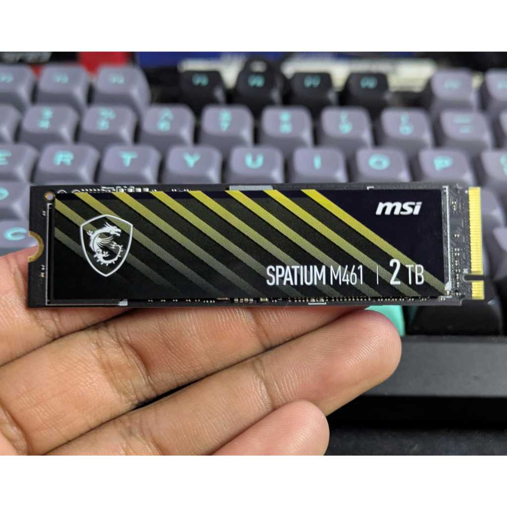 MSI SPATIUM M461 PCIe 4.0 NVMe M.2 1TB SSD