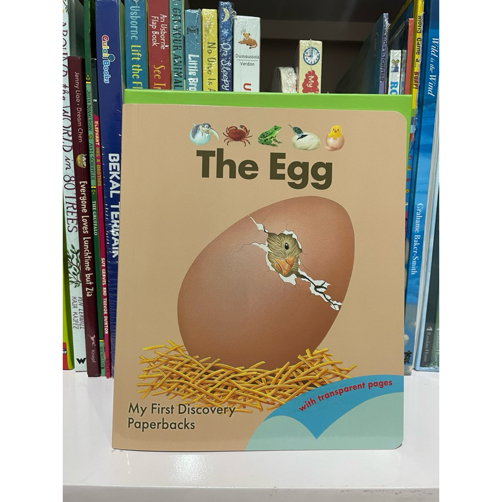 My First Discovery Paperback