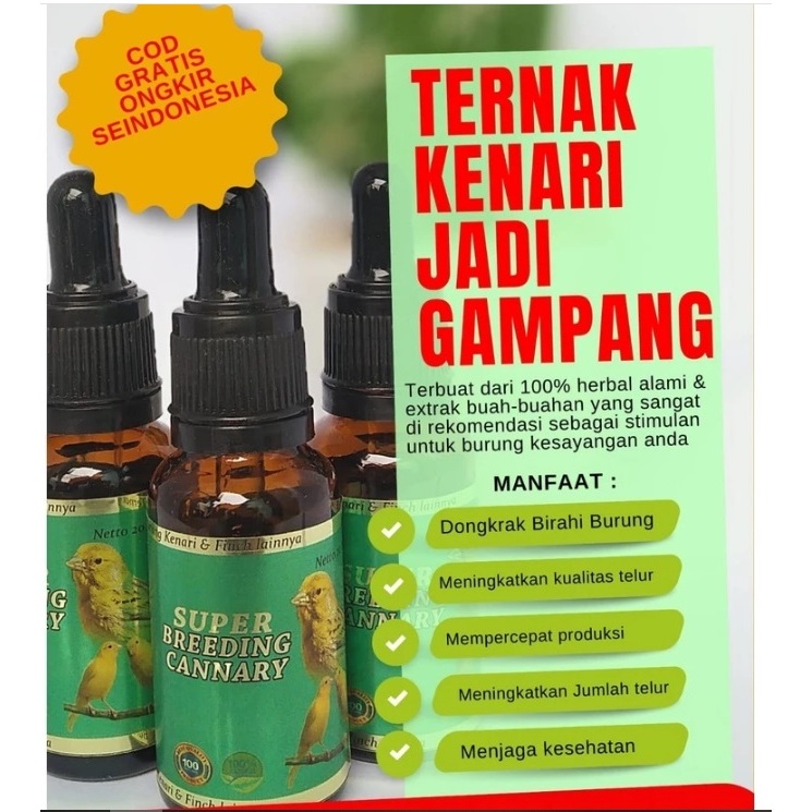 SUPER BREEDING CANNARY NUTRISI TERNAK BURUNG KENARI FINCH SANGER PENINGKAT BIRAHI