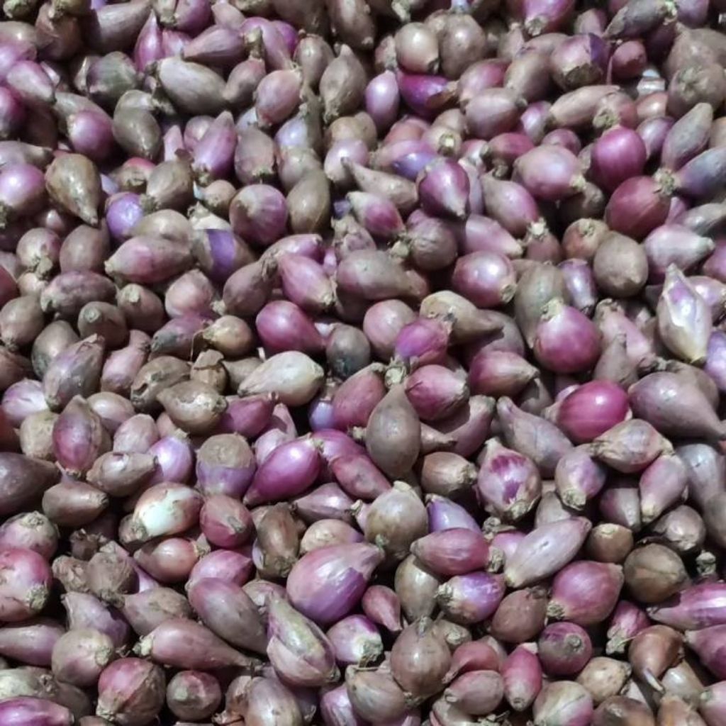 BAWANG MERAH 1KG BAWANG 500GR BRAMBANG BERAMBANG BAMER MURAH BISA KIRIM SELURUH INDONESIA