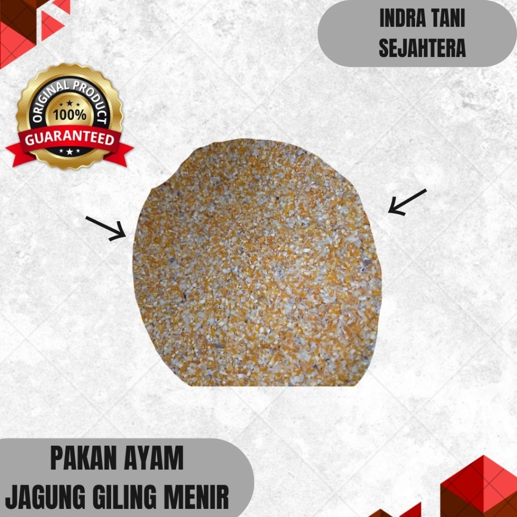 PAKAN AYAM JAGUNG GILING MENIR / JAGUNG GILING HALUS