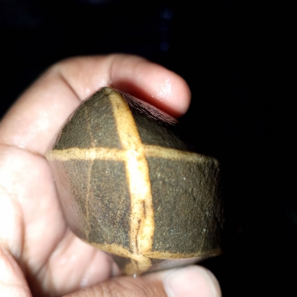 TAPAK JALAK URAT TIMBUL TEMBUS SENTER 220gram