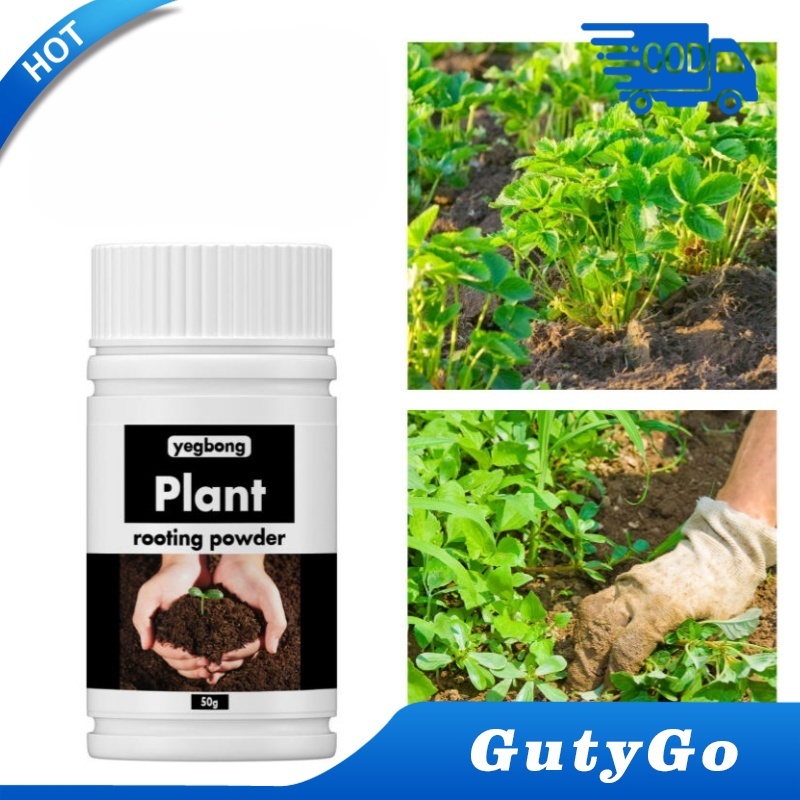 Bubuk Rooting Tanaman / Powder Penumbuh Akar Tanaman / Serbuk Rooting Cepat / Hormon Pertumbuhan Aka