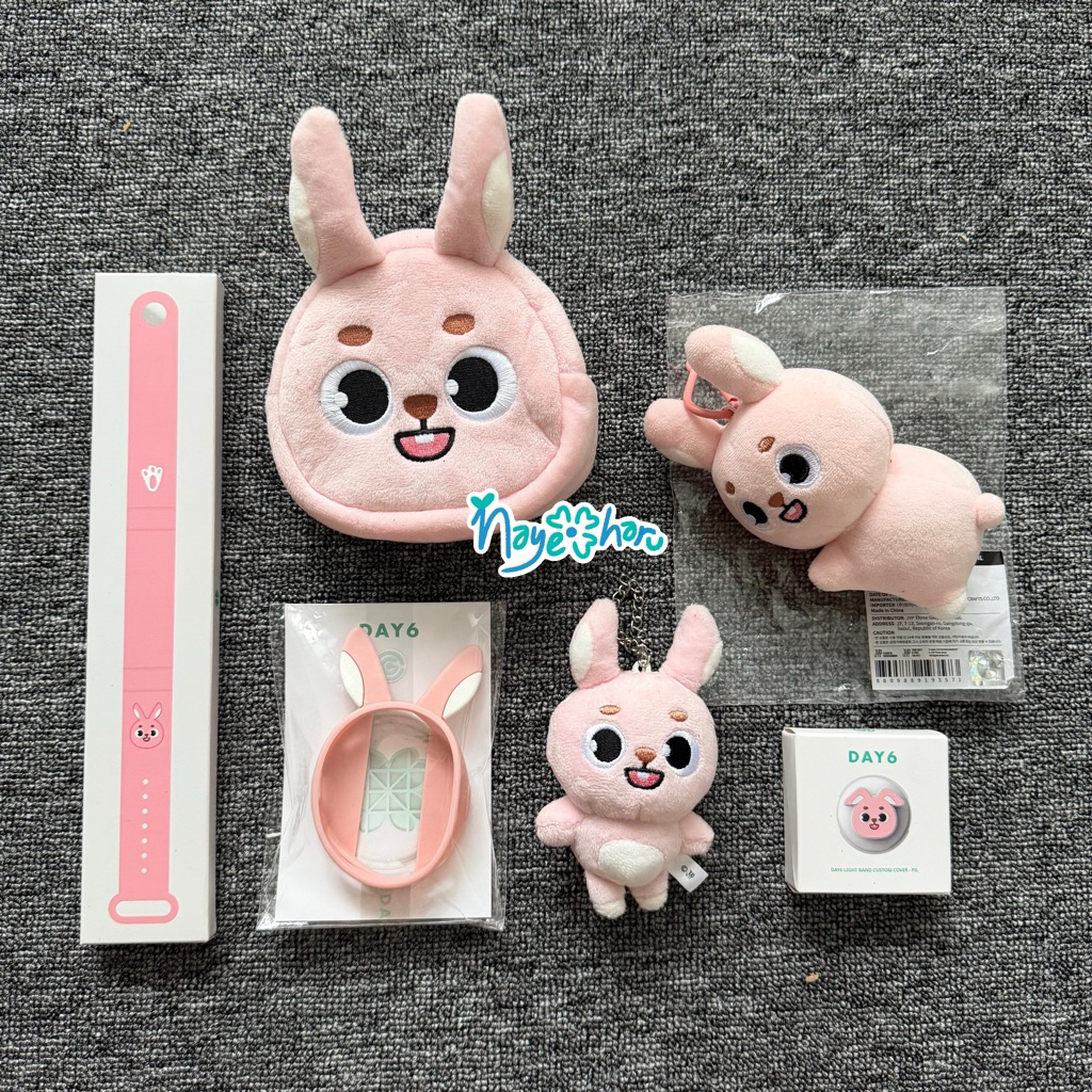 Denimalz pil plush - wonpil doll / kim wonpil day6 3rd world tour forever young merchandise strap ri