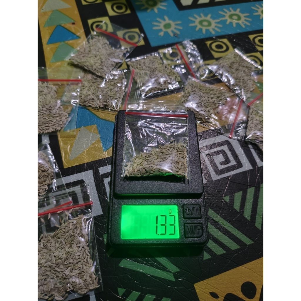 Benih Selada F2 (Caipira) 1gram