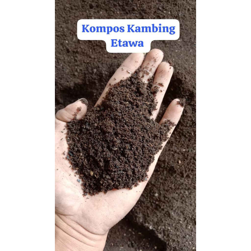 KOHE Kambing Giling 1kg