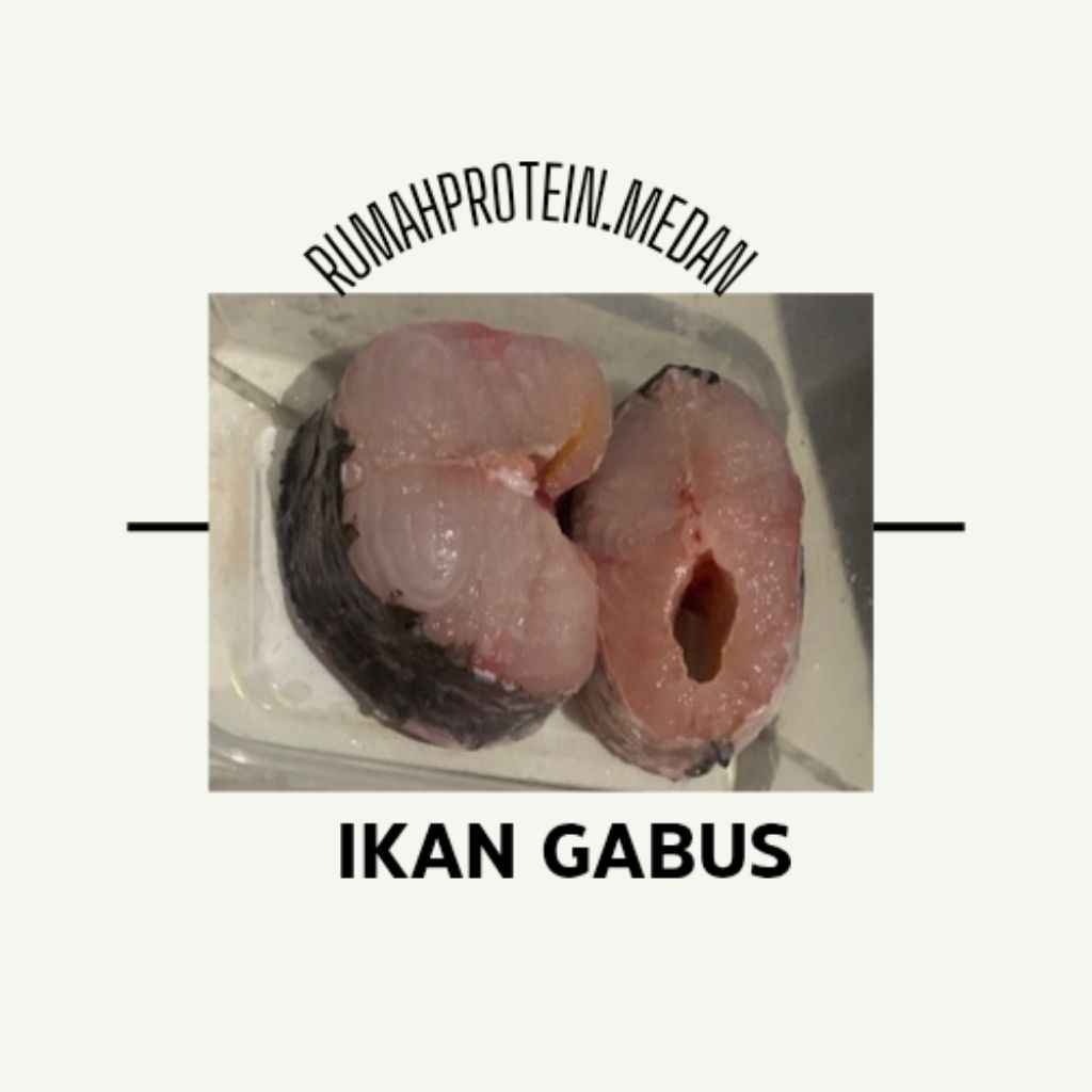 IKAN GABUS SEGAR