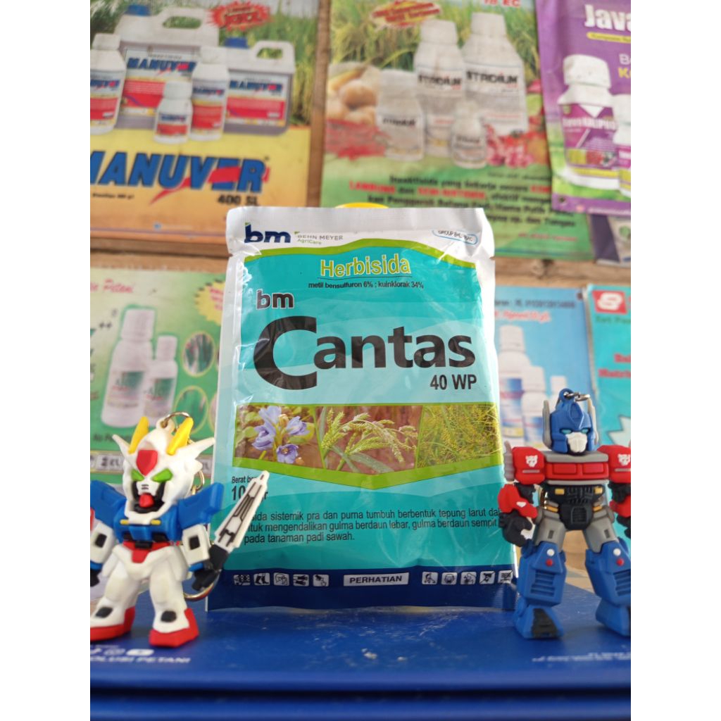 Herbisida padi bm CANTAS 40wp 100gr