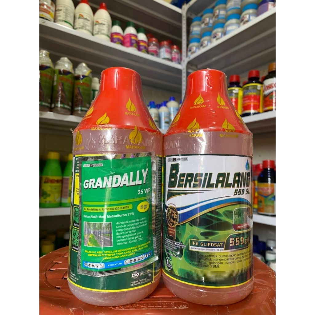 Bersilalang 559 SL 1L