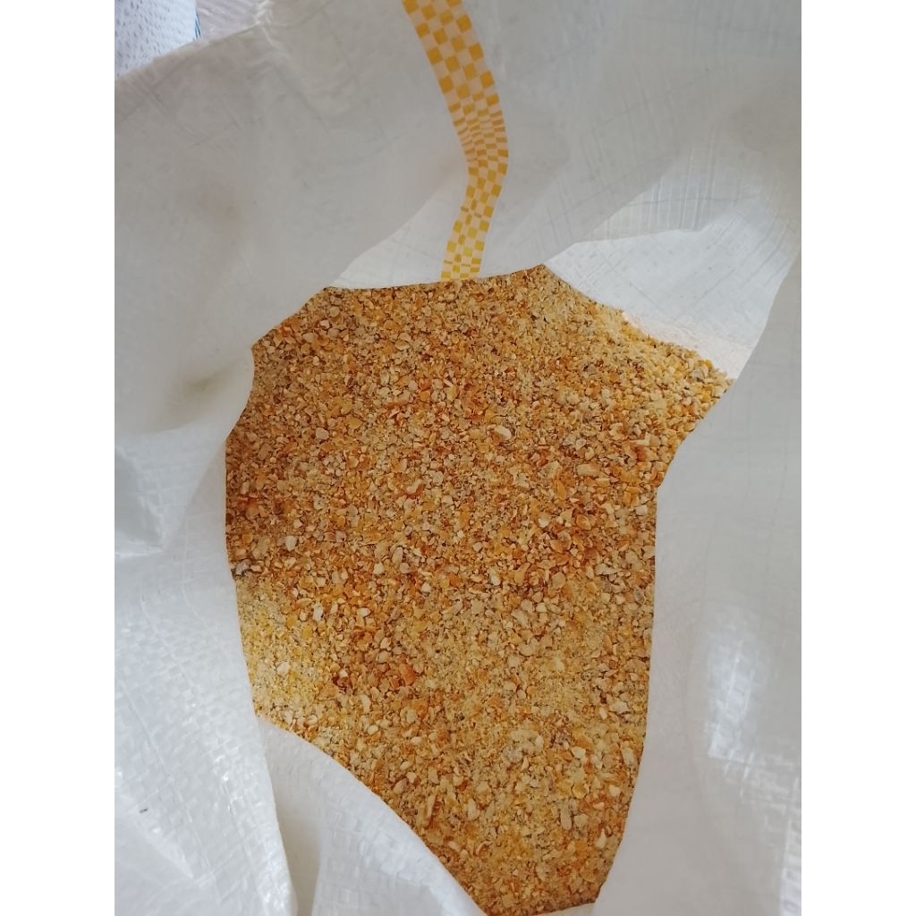 jagung giling pakan ayam.500gr.