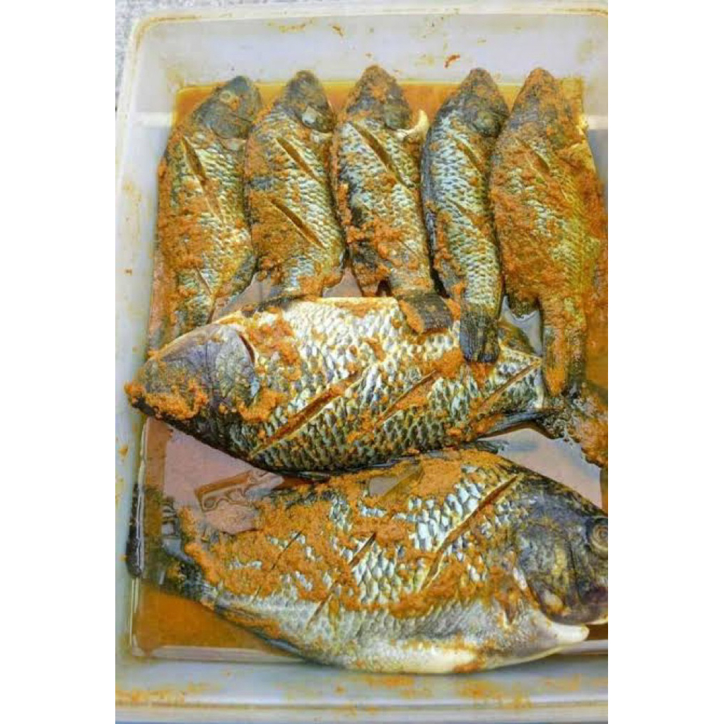 ikan nila marinasi goreng bakar
