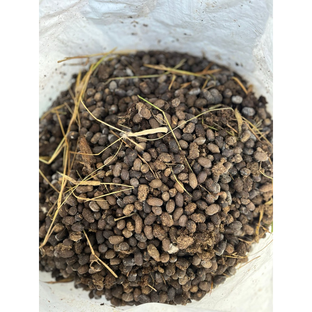 KOHE KAMBING MURNI (utuh tanpa campuran) SRINTIL KAMBING PUPUK TANAMAN