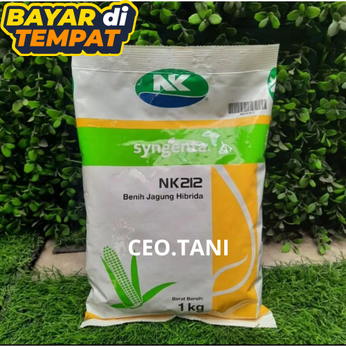 BAYAR TEMPAT Benih Jagung Hibrida NK 212 Wiro - 1kg / Benih Jagung NK 212