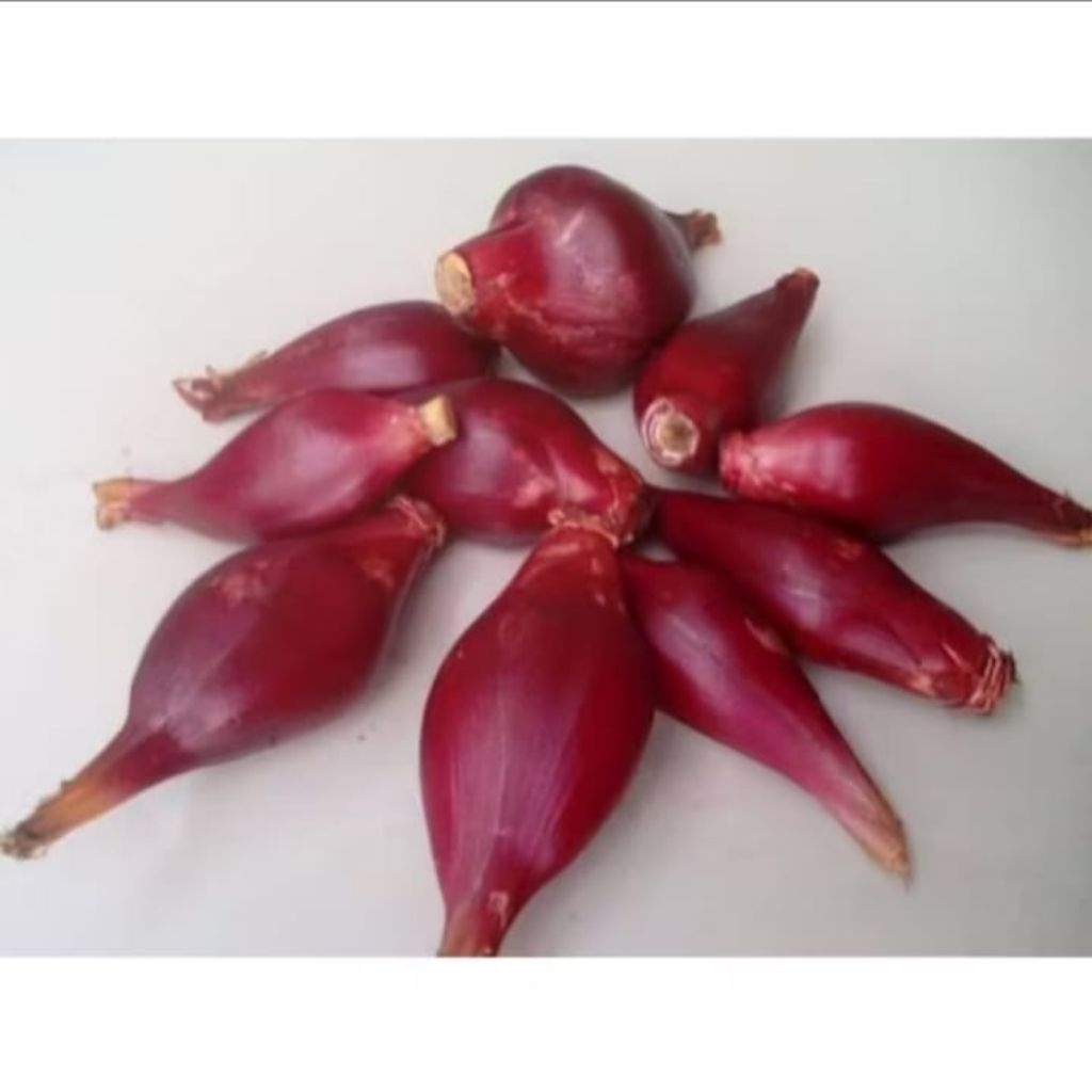 Bawang dayak 1kg