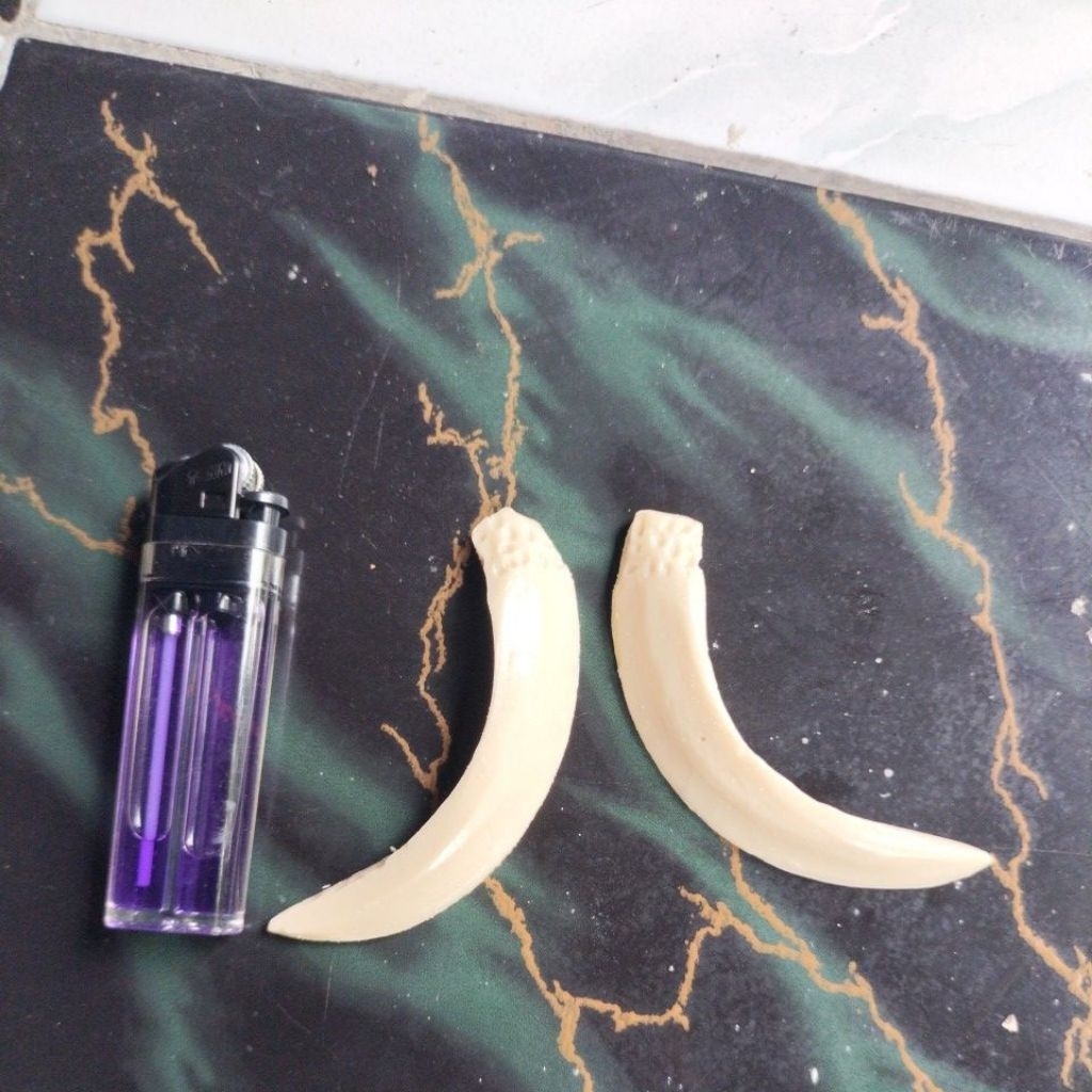 caling panjang ogoh2