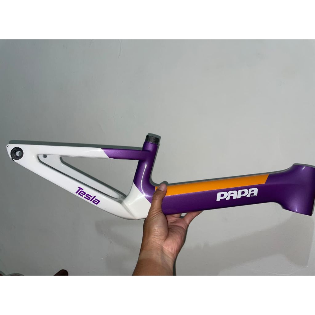 frame pushbike carbon papabike tesla