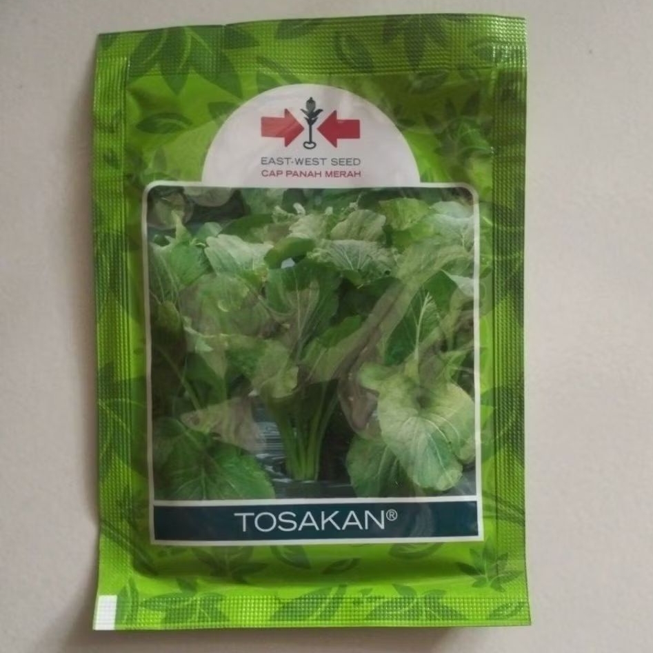 TOSAKAN BIBIT SAWI HIJAU