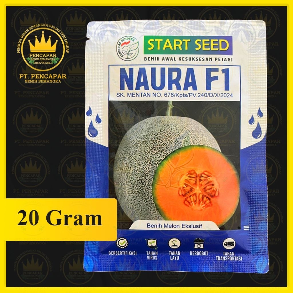 benih melon NAURA F1 isi 20 grm