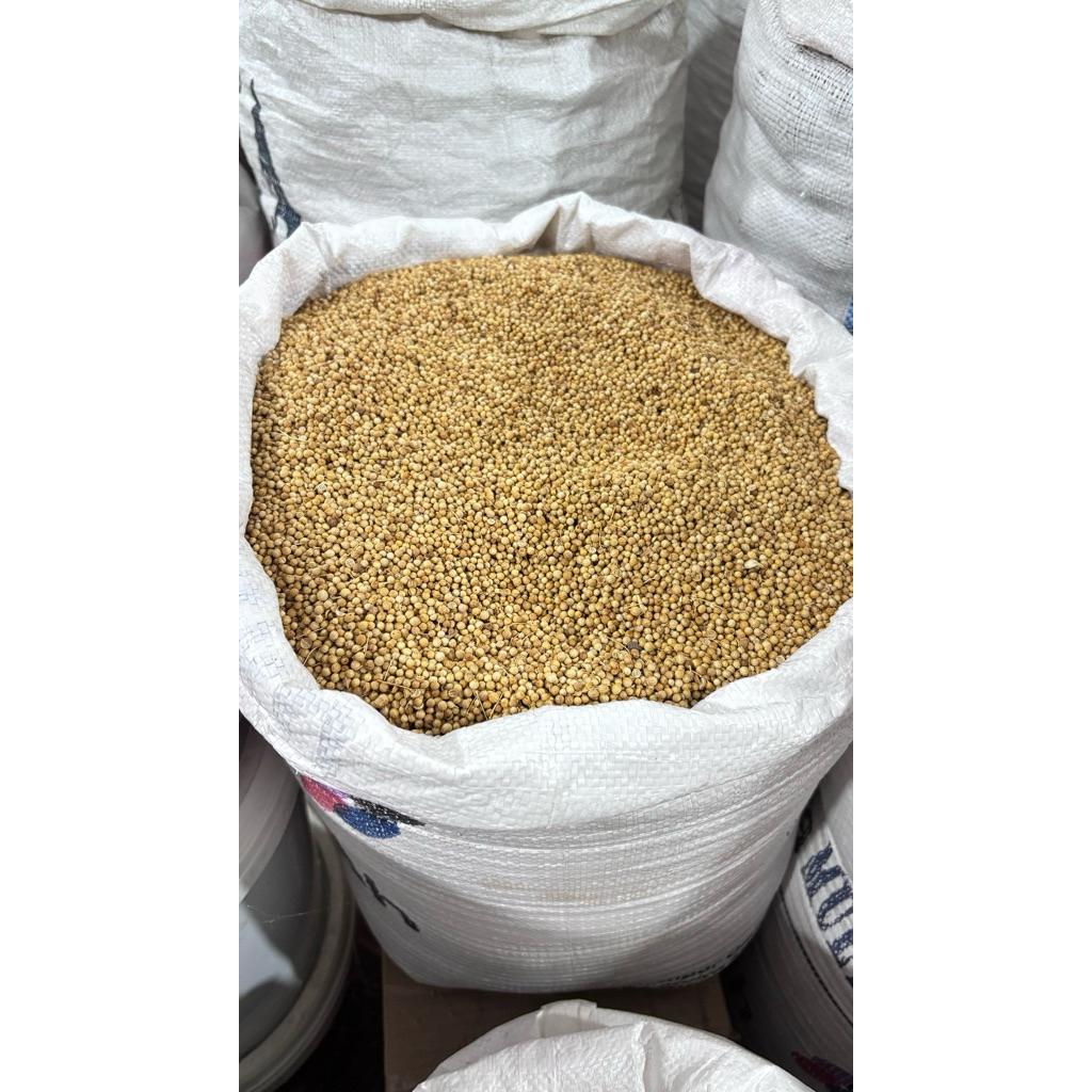 Ketumbar bulat 1kg ketumbar mulya