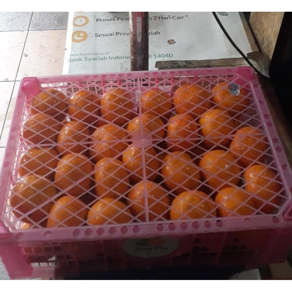 Indukbuah Buah Jeruk Wogan Wokam 1 Keranjang