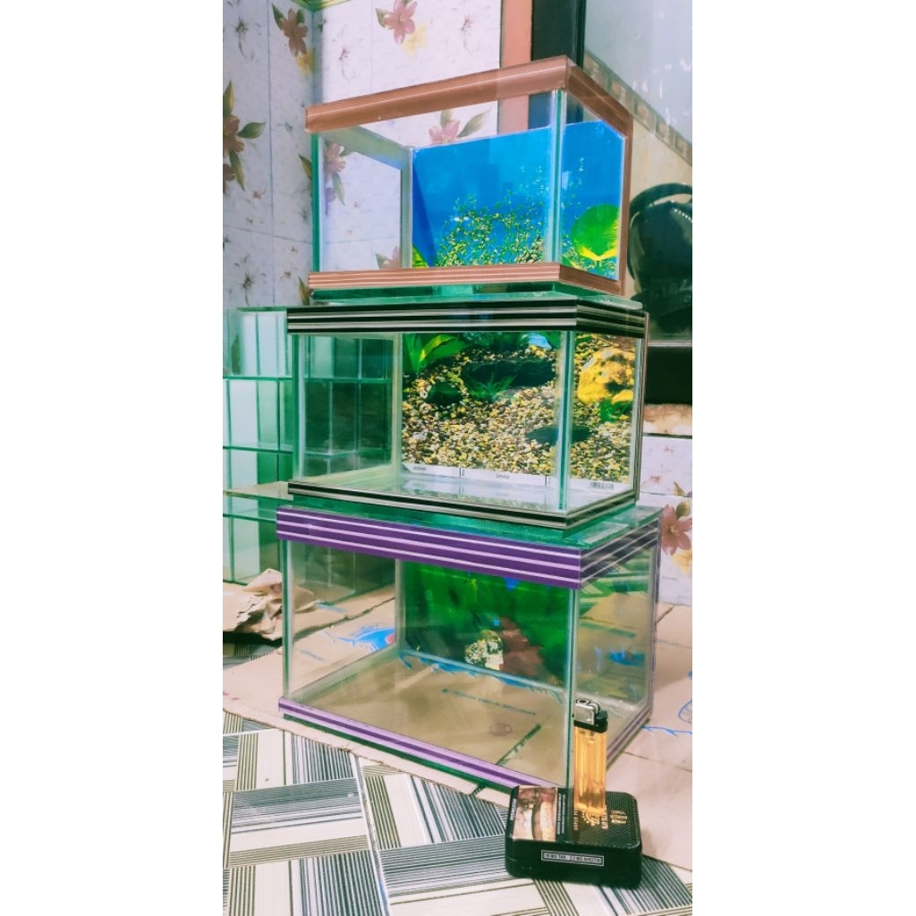 Akuarium minimalis kaca sudah di bacground | GRATIS PACKING FOAM | soliter cupang | soliter kaca | a