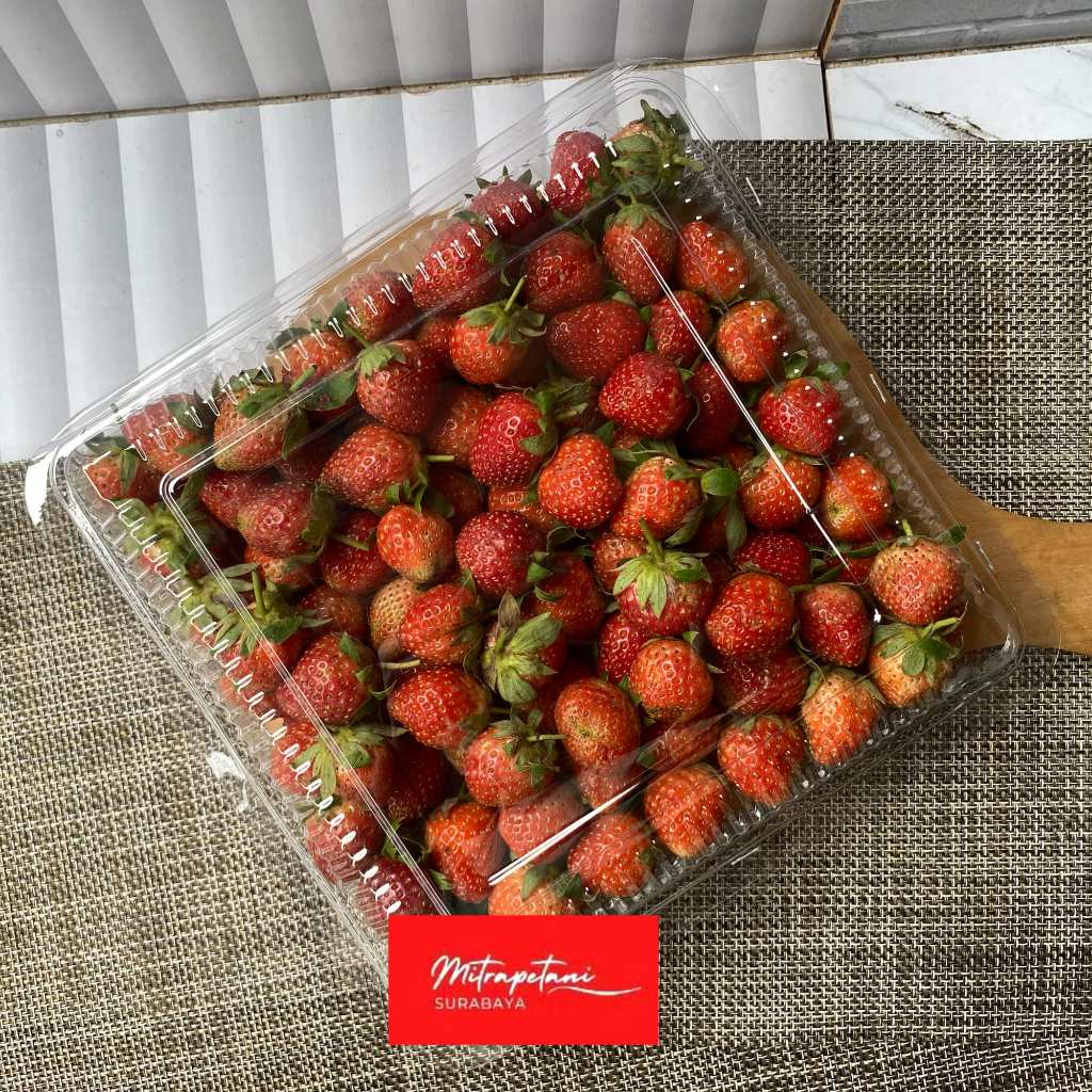 Strawberry fresh all grade 1kg/strawberry segar/strawberry fresh