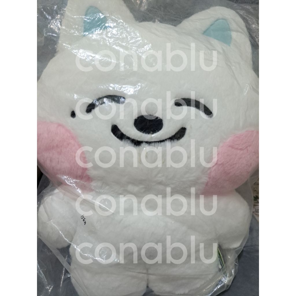 Dreamiez Big Flat Jjed Jeno NCT