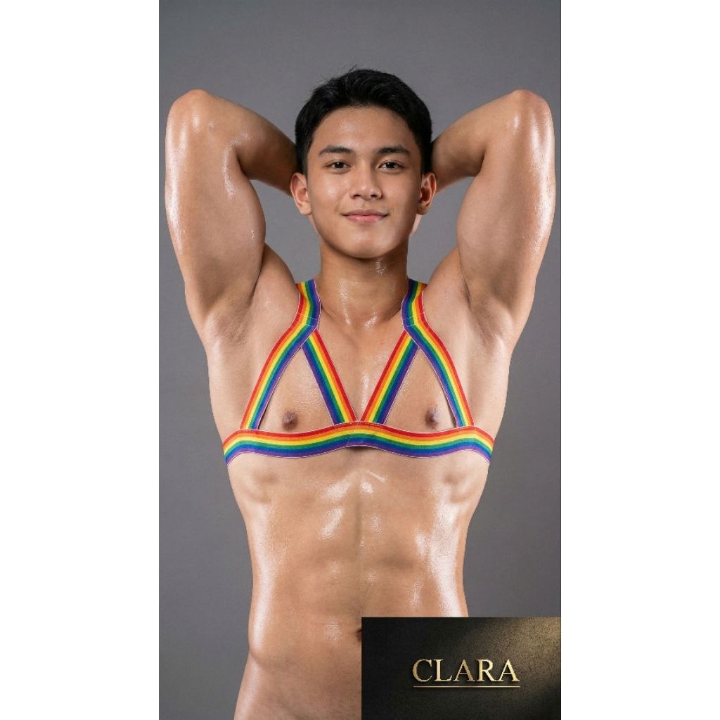 Harness Pria Cover dada