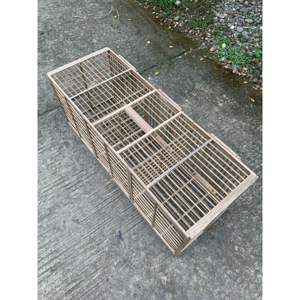 kandang jemur merpati pintu 3