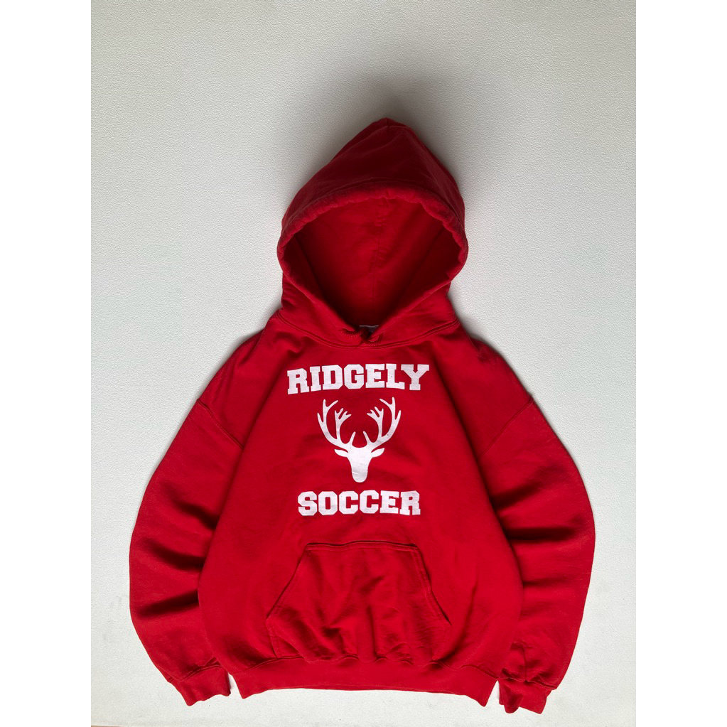 Gildan Heavy Red Art Hoodie / CC246