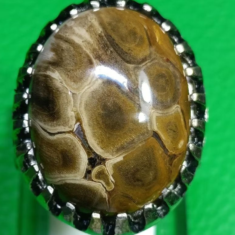 akik tapak jalak natural alami tembus