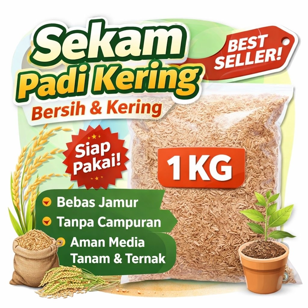 Sekam Padi Kering